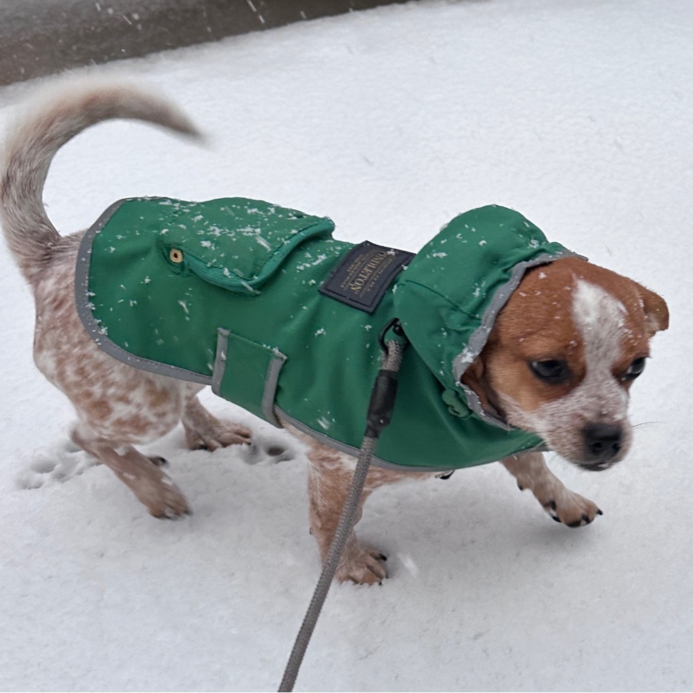 Pendleton National Park Packable Dog Raincoat XS